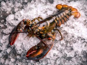 лобстер