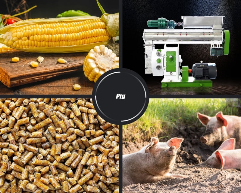 macchina per la produzione di pellet per suini