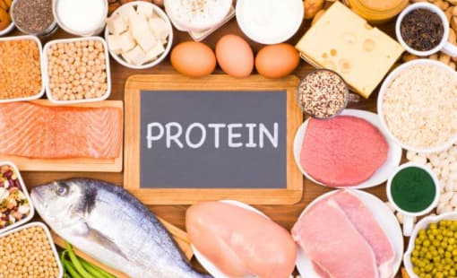 Белковое сырье