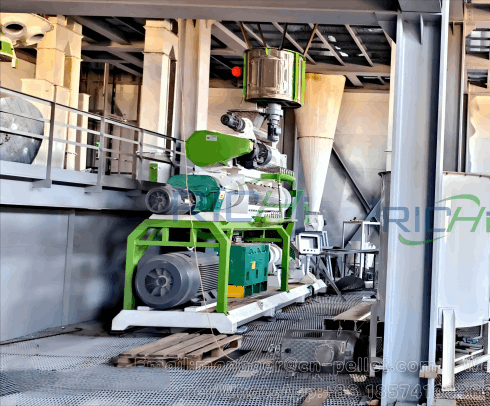 Russian 5-6T/H Automated Floating Fish Feed Production Line