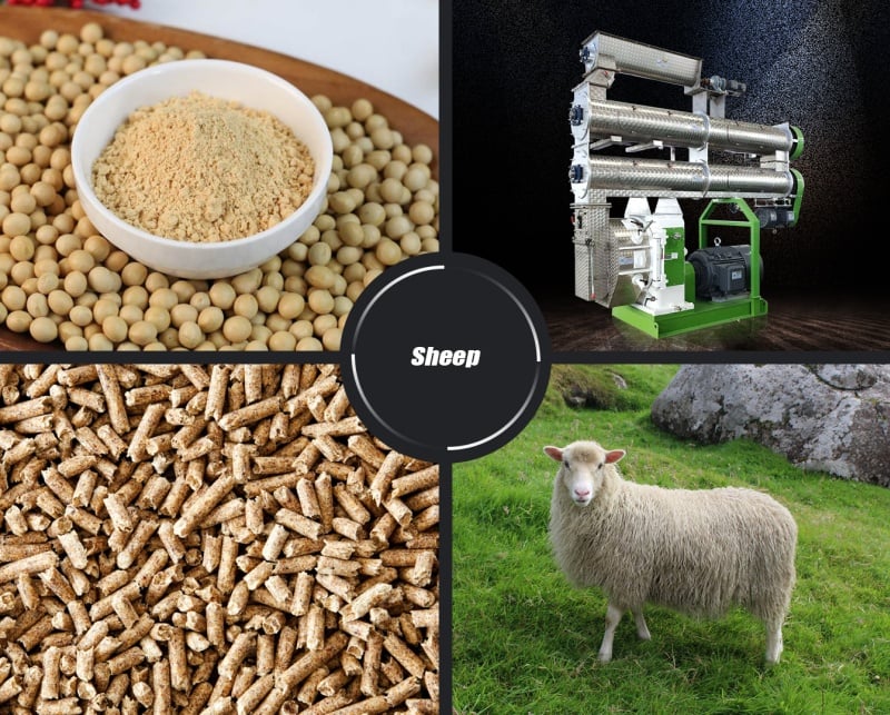 macchina per la produzione di pellet per ovini
