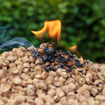 Burning paper particles