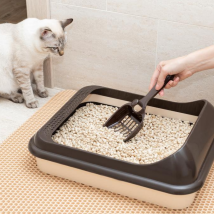 Paper cat litter pellets