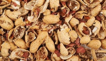 Conchas