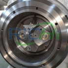 Ring die and pressure roller