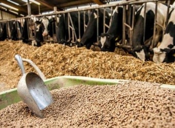 pellets de heno