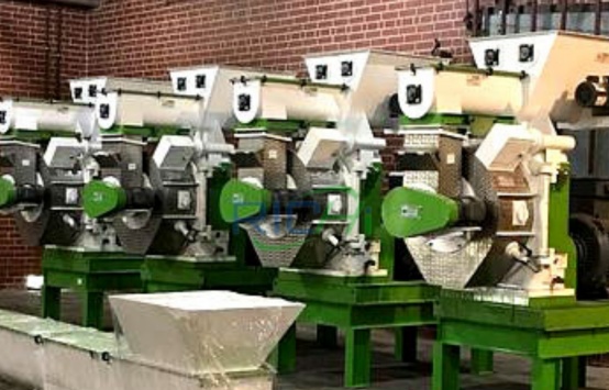 10 tons/hour wood chip pellet machine in the United States