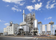 Biomass Fuel Producers