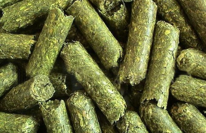 Kualitas pelet mesin pembuat pelet pakan kuda