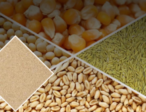 Mixed Livestock Feed Production Line