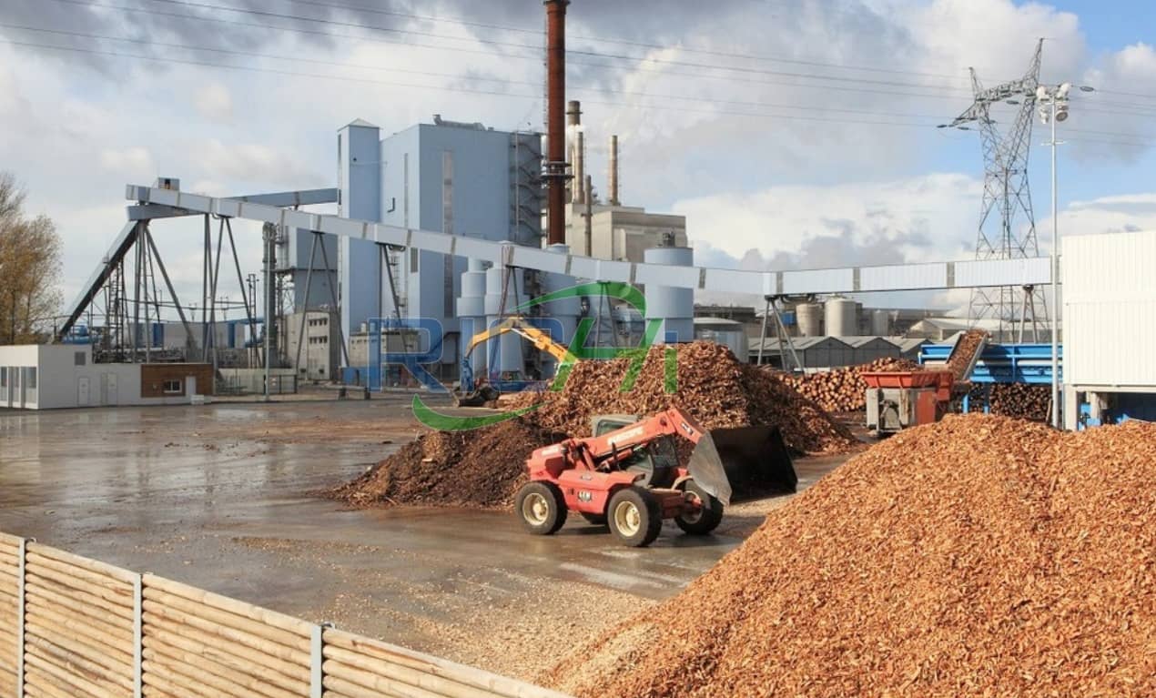 4-5T/H Vertical Biomass Pelletizer in Poland