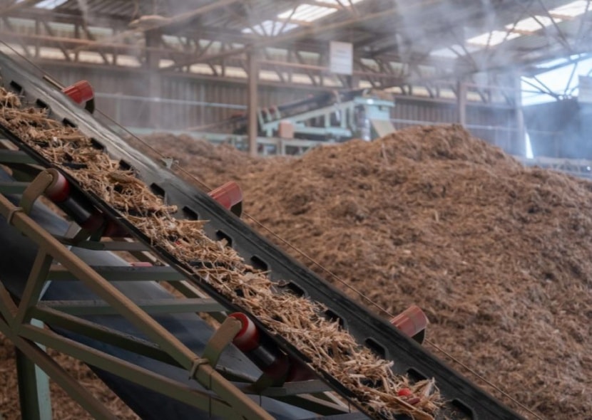 Vertical biomass pellet machine for agricultural waste recycling