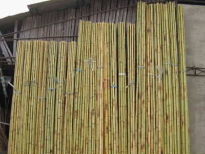 Vertical biomass pellet mill for bamboo raw materials