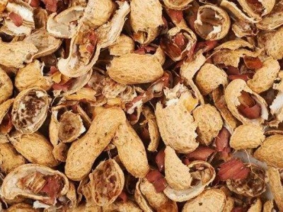 Vertical biomass pellet mill for peanut shell raw materials