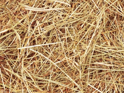 Vertical biomass pellet mill for straw raw materials