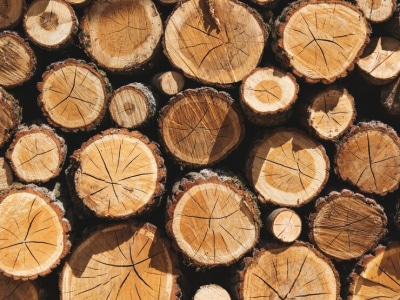 Vertical biomass pellet mill raw material logs
