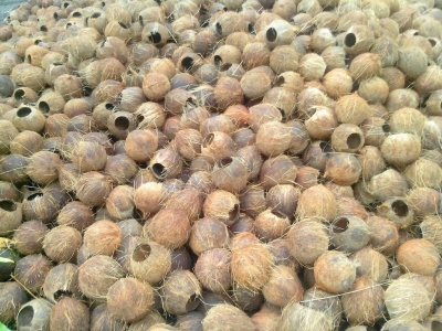 Vertical biomass pellet mill using palm shell raw materials