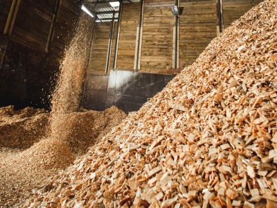 Vertical biomass pellet mill wood chip mixture raw materials