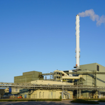 Vertical ring die pellet mill application in biomass power plants