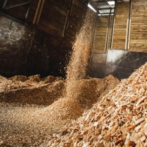 Vertical ring die pellet mill for mixing biomass raw materials