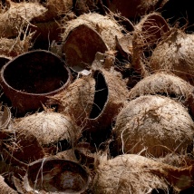 Vertical ring die pellet mill raw material shells