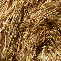 Vertical ring die pellet mill raw material straw