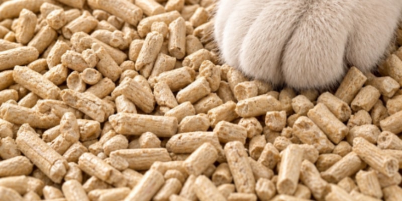 Vertical wood pellet machine wood cat litter