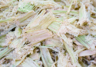 sugarcane bagasse