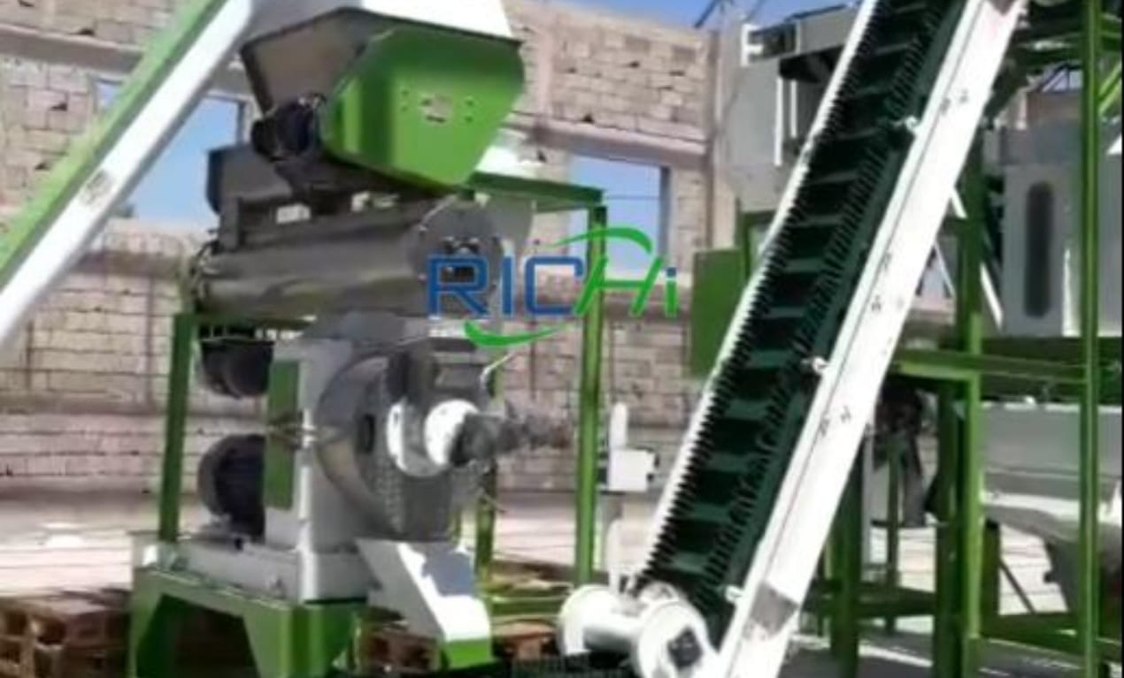 1.8-2TH cattle and sheep pelletizer machine for sale Philippines