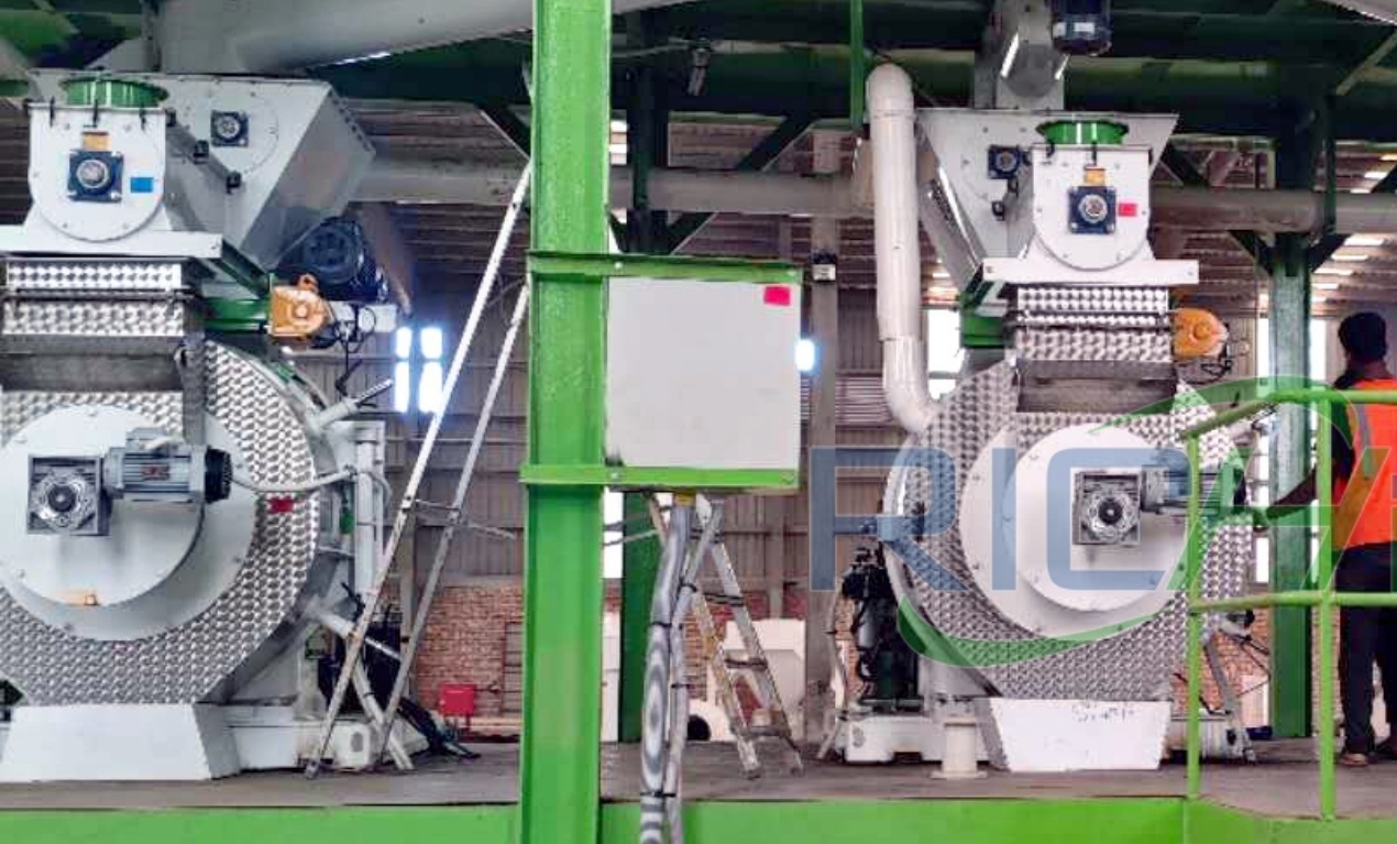 5-6TH Coconut Shell Biomass Pelletizing Machine Project Philippines