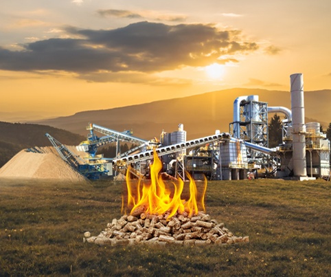 Biomass Industry