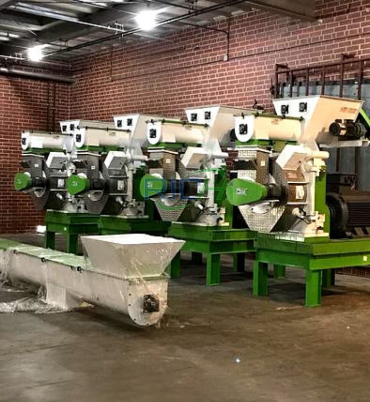 10 t/h Biomass Pellet Machine Malaysia Project