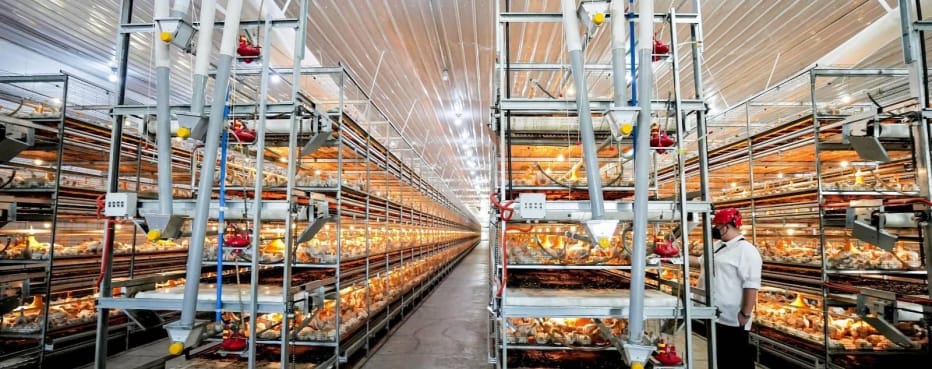 Broad demand for pellet products in the Philippines