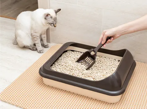 Cat Litter Industry