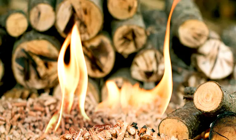 Italian pellet mill biomass raw materials
