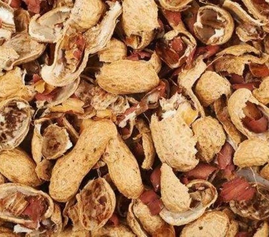 Peanut shell