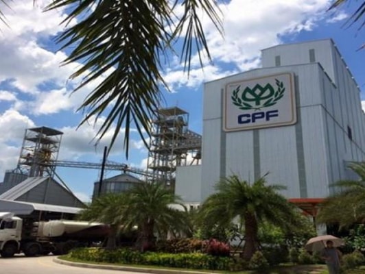 Pellet Machine Malaysia Adapt to hot and humid environments