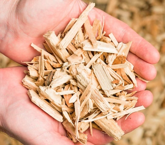Wood chip