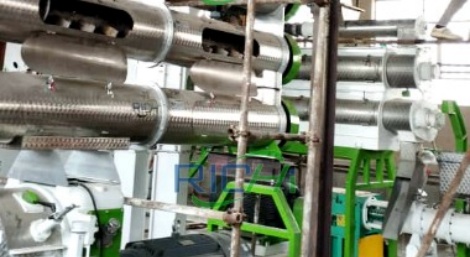 1-1.2T/H small scale fish feed plant in Malaysia
