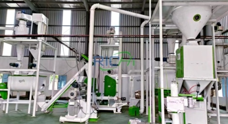 1T/H Small Scale Fish Feed Plant in Indonesia
