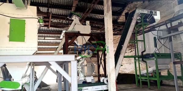 2-3T/H leaf pellet mill for sale in India