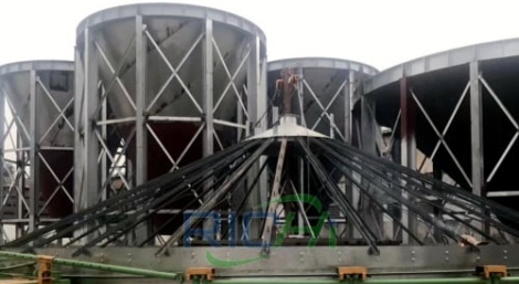 20T/H poultry and livestock feed pellet production line in Brazil