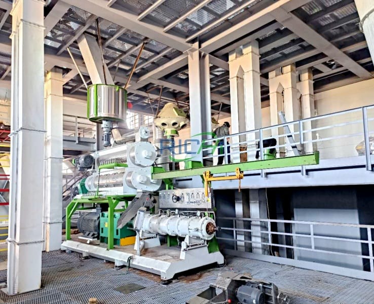 5-6T/H twin-screw extruder project in Australia