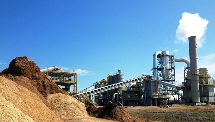 Biomass fuel companies
