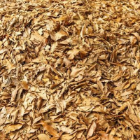 Fallen Leaves