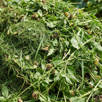 Garden Pruning Waste