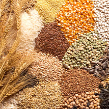 Poultry feed ingredients