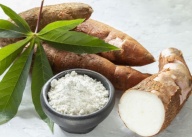 Farina di tapioca