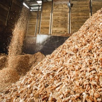 Wood chips