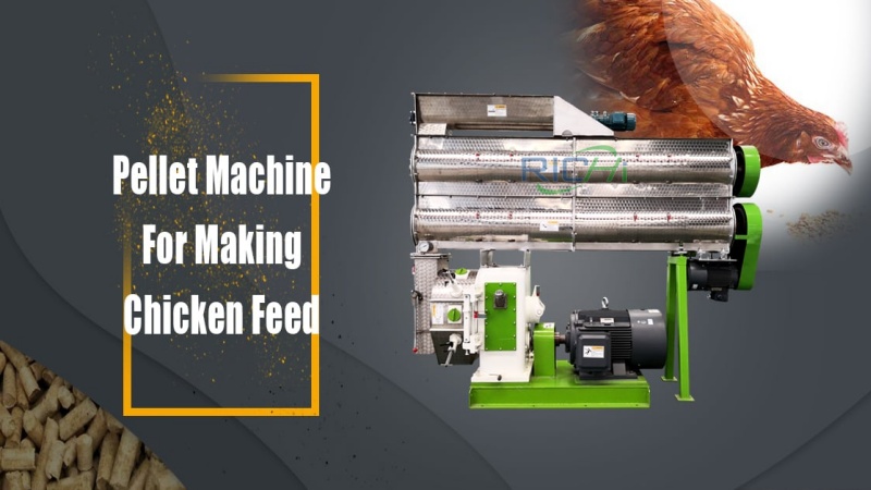 Poultry feed pellet machine